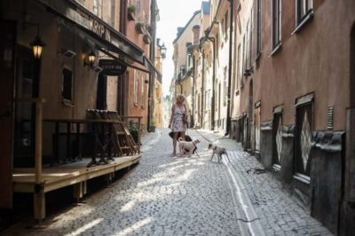 Old Town & Vasa Museum Skip-the-Line Private Tour