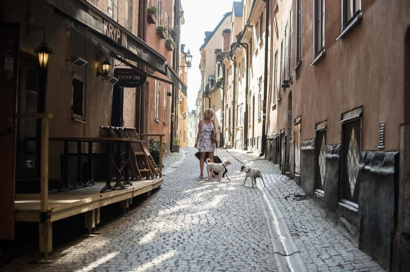 Stockholm: Old Town & Vasa Museum Skip-the-Line Private Tour - Meeting in Stortorget, Stockholm’s historic square