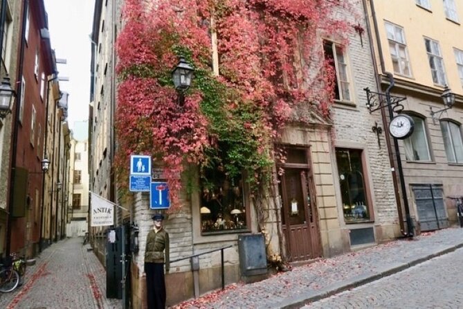 Stockholm Private Group Walking Tour | 3 Hours - Weather, walking, and comfort