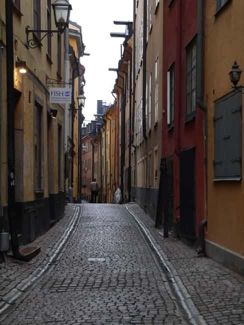 Stockholm: Private Guided Car Tour and Vasa Museum Entry - Who will get the most from this private car tour?