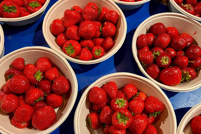 Stockholm Private Walking Food Tour - Finishing among flowers and market stalls at Hötorget