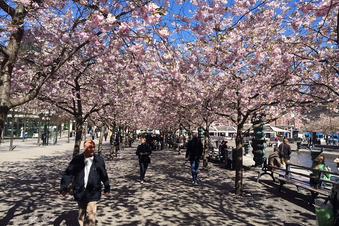 Stockholm Scavenger Hunt and Highlights Self Guided Audio Tour - National Museum and choosing your finish