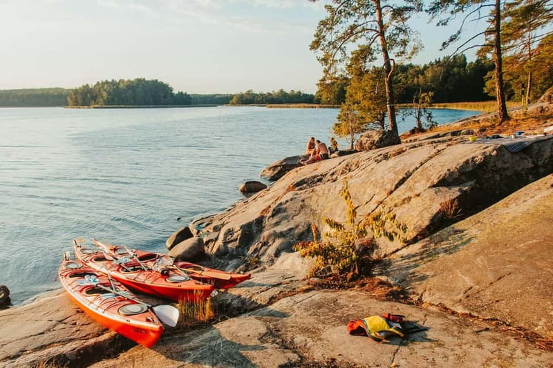 Stockholm: Self Guided Kayak Adventure in Nature Reserve - Wildlife along the shoreline