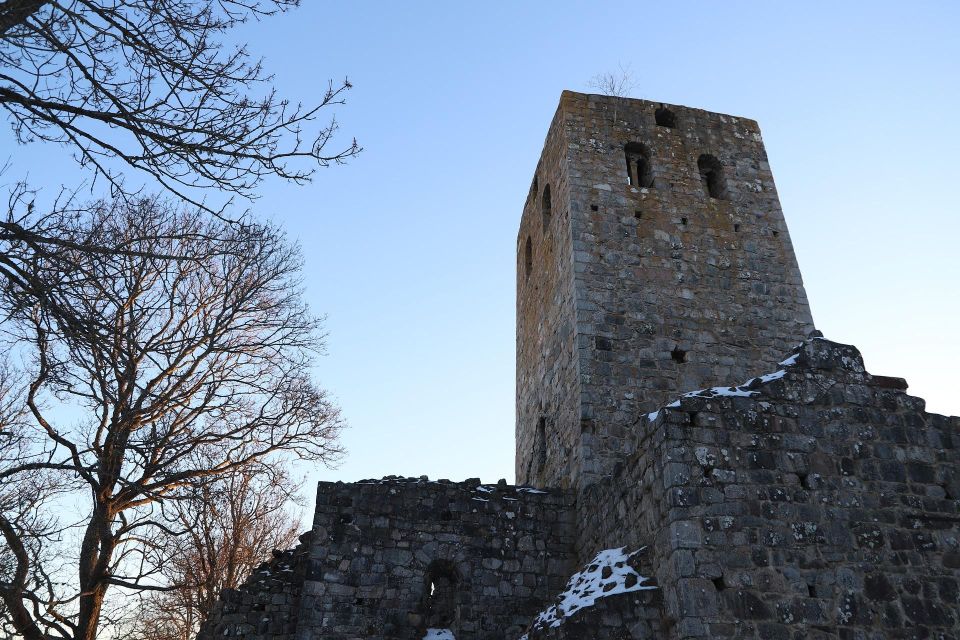 Stockholm: Sigtuna and Uppsala Viking History Day Tour - Arkils Tingstad and early Scandinavian law