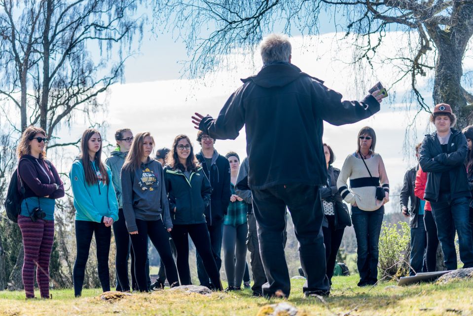 Stockholm: Sigtuna and Uppsala Viking History Day Tour - Gamla Uppsala and the three royal mounds