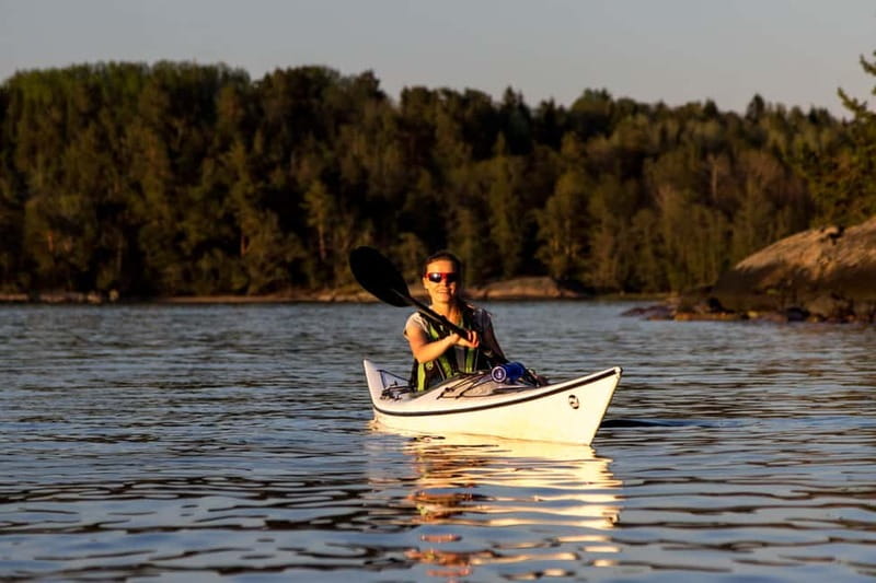 Stockholm: Sunset Archipelago Kayaking & Toast on the Water - Wildlife watching along the shore