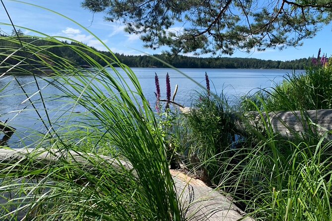 Stockholm: Sunset Hike in Tyresta National Park with Meal - Granite cliffs, lakes, and uneven ground