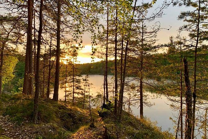 Stockholm: Sunset Hike in Tyresta National Park with Meal - A lakeside pause with fika and a Swedish meal