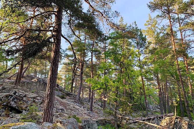 Stockholm: Sunset Hike in Tyresta National Park with Meal - Who will enjoy this Tyresta evening?