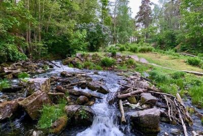 Sunset Hike in Tyresta National Park with Meal