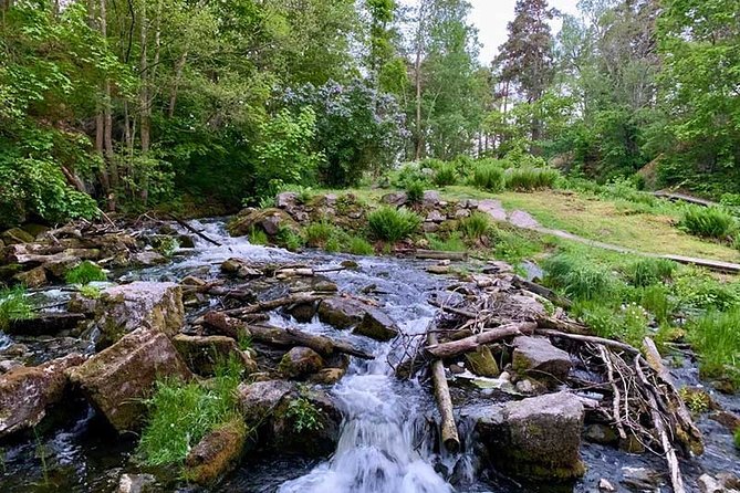 Stockholm: Sunset Hike in Tyresta National Park with Meal - The 30-minute ride from Gullmarsplan to the forest