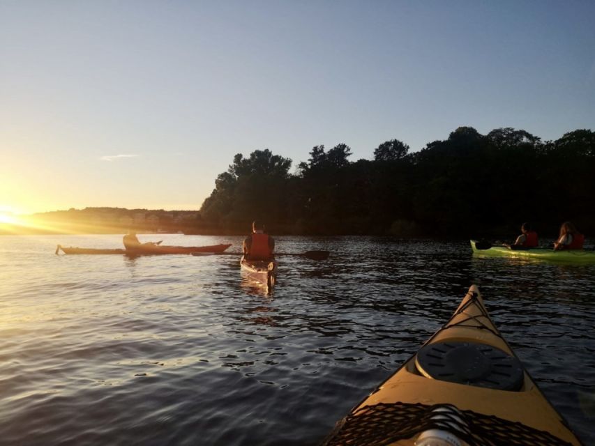 Stockholm: Sunset Kayak Tour in the City + Swedish Fika - The 40-minute Swedish fika beside the water