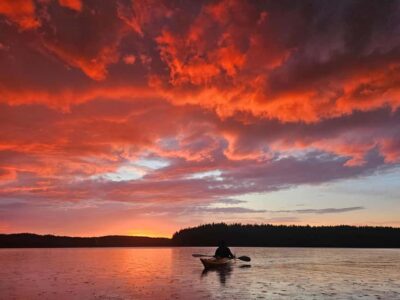 Sunset Kayak Tour on Lake Mälaren with Tea & Cake