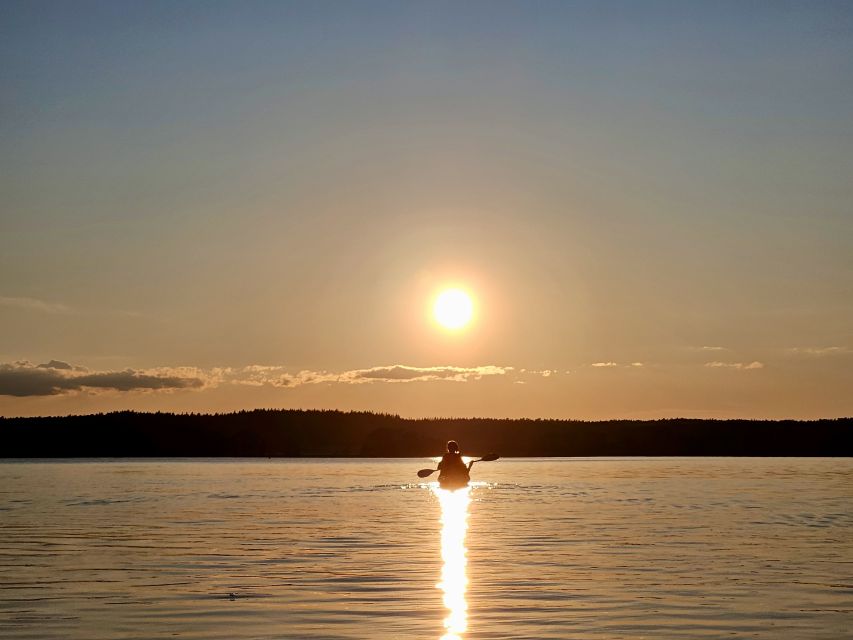 Stockholm: Sunset Kayak Tour on Lake Mälaren with Tea & Cake - Looking for Beavers Near the Islands