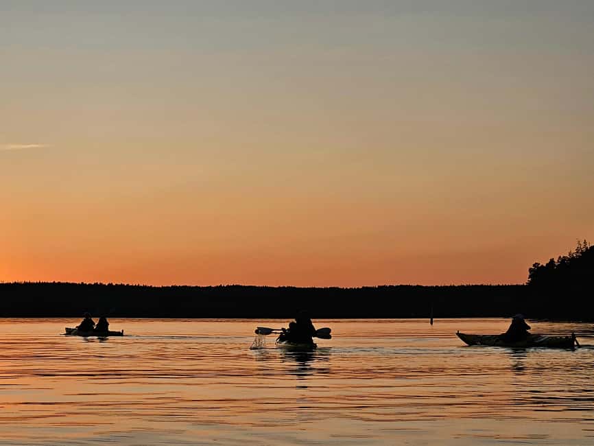 Stockholm: Sunset Kayak Tour on Lake Mälaren with Tea & Cake - Equipment, Group Size, and Guide Quality