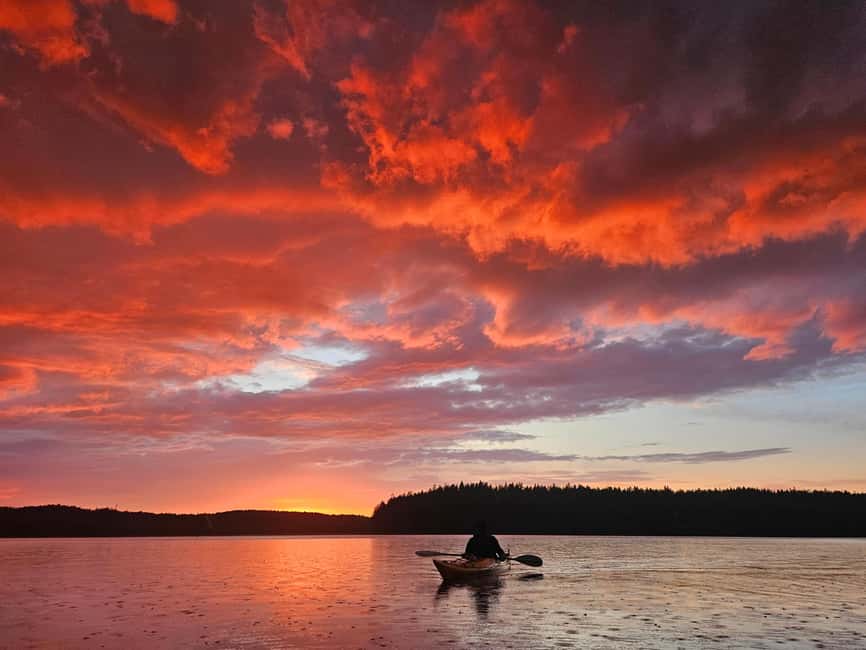 Stockholm: Sunset Kayak Tour on Lake Mälaren with Tea & Cake - The 45-Minute Safety Briefing Comes First