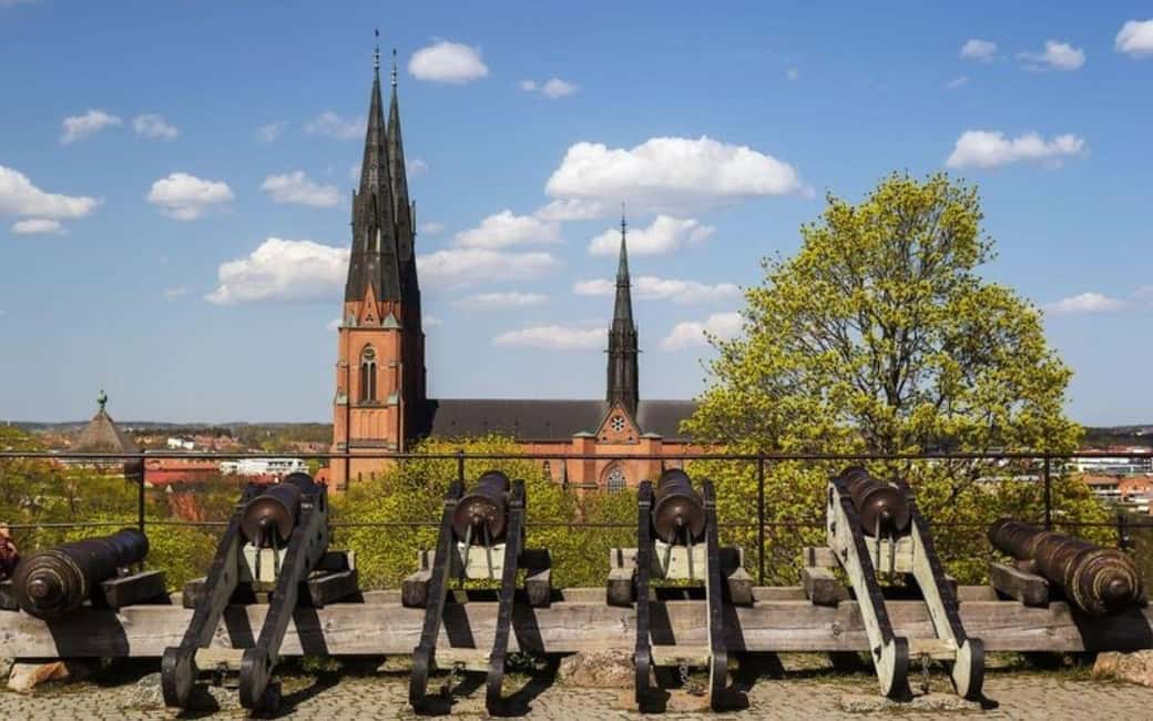 Stockholm: Uppsala Half-Day Swedish Oxford & Cathedral Tour - The Swedish Oxford around Gustavianum and Carolina Rediviva