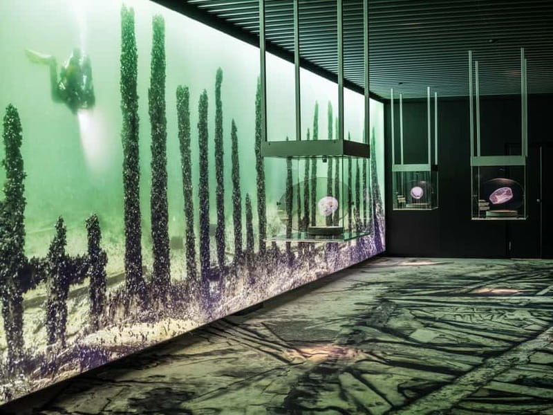 Stockholm: Vasa Museum and Vrak Museum of Wrecks Combo Entry - Eleven exhibitions that turn one ship into a full story