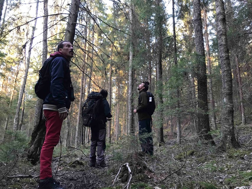 Stockholm: Wildlife Tour With Dinner and Short Hike - Tracking signs along the trail