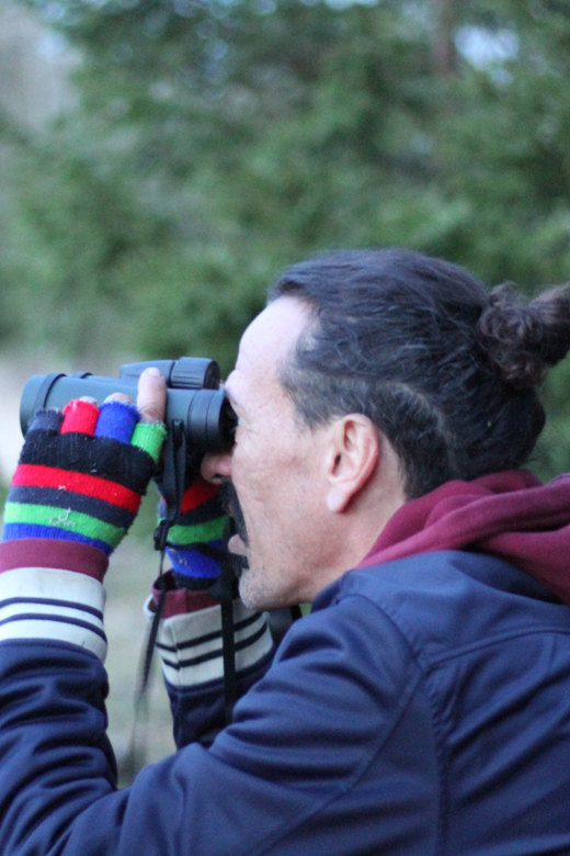 Stockholm: Wildlife Tour With Dinner and Short Hike - Searching several hotspots by minivan