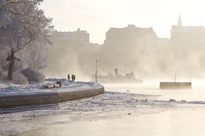 Stockholm: Winter Boat Tour with Guide - Key points to know before you book