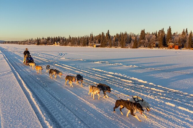 Sunrise Zen Husky Tour (10:00 to 13:00 - sitting on the sled) - Key points to know before booking