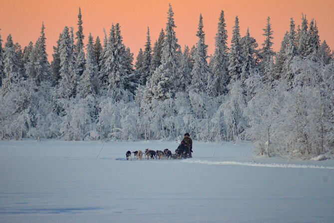 Sunrise Zen Husky Tour (10:00 to 13:00 - sitting on the sled) - The sled ride through Poikkijärvi Woods