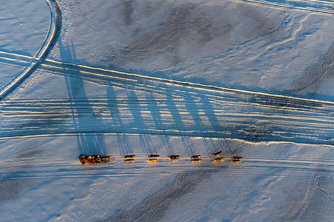 Sunrise Zen Husky Tour (10:00 to 13:00 - sitting on the sled) - Why the frozen lake changes the experience