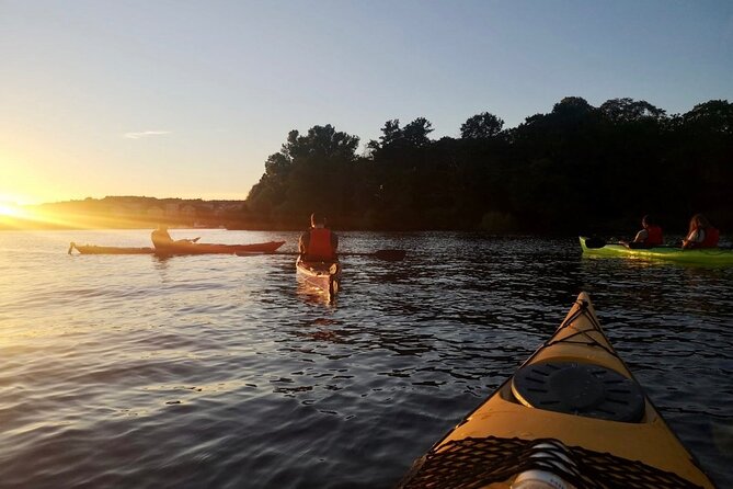 Sunset Kayak Tour in Central Stockholm and Swedish Fika - What the first paddle feels like