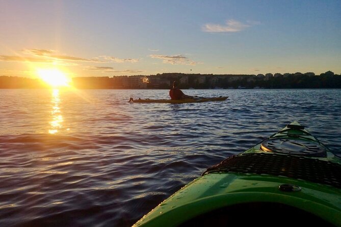 Sunset Kayak Tour in Central Stockholm and Swedish Fika - Who will enjoy this Stockholm kayak tour?