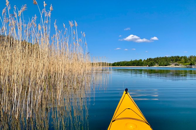 Sunset Kayak Tour in the Stockholm Archipelago + Swedish Fika - A Swedish fika picnic on an island