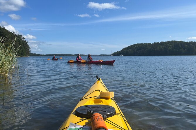 Sunset Kayak Tour in the Stockholm Archipelago + Swedish Fika - Conditions, cancellations, and practical planning