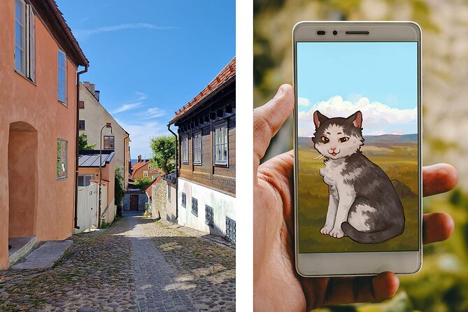 The Battle of Visby: A Self-Guided Walking Tour Game - What This Visby Walking Game Actually Offers
