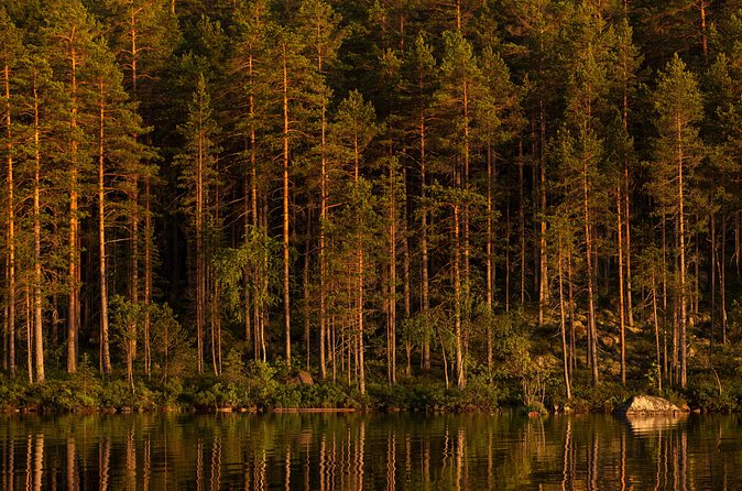 The Wolf Howl Experience - Day two: tracking signs, not just animals