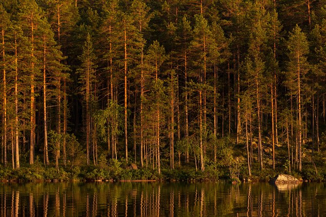 The Wolf Howl Experience - Food, camp, and comfort in the forest