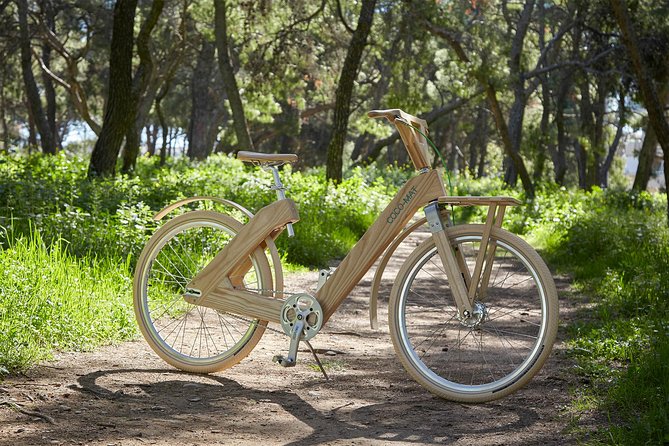 The Wooden Bicycle Tour in Stockholm - Why the wooden bicycle changes the tour