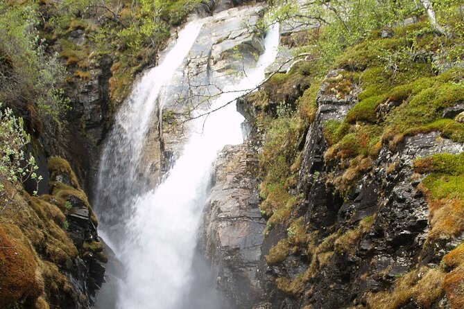 Tour to Abisko national park - Key points at a glance