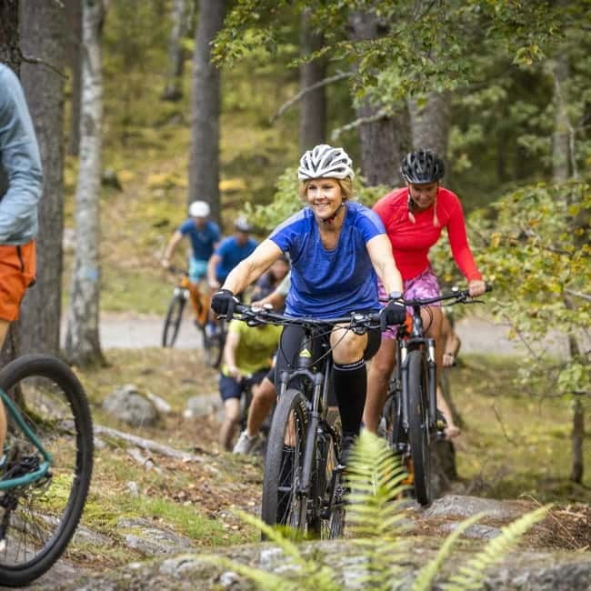 Uppsala: Mountain Bike Rental with Helmet - Key points for your Uppsala ride