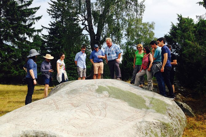 Viking History and Swedish Countryside Tour to Sigtuna & Uppsala - Old Uppsala and the royal mounds