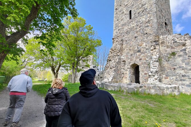 Viking History, Runes & Countryside 9h Tour to Sigtuna & Uppsala - Why this tour works for history-minded visitors