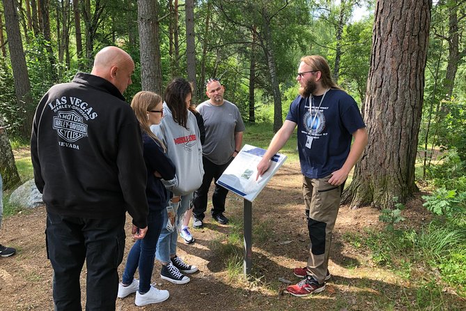 Viking History Small Group Tour from Stockholm: Half Day Including Sigtuna - Group Size, Walking, and Comfort