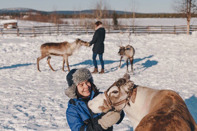 Visit the Sami and Reindeer in a Day Trip from Abisko - What this Abisko day trip actually offers