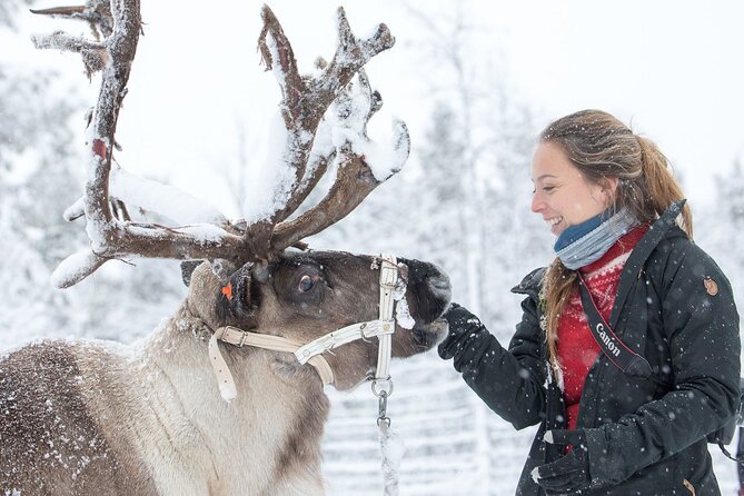 Visit the Sami and Reindeer in a Day Trip from Abisko - Nutti Sámi Siida and the meaning of the buildings