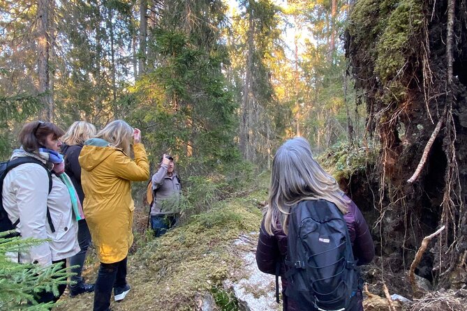 Wolf and Wildlife Tracking in Sweden - Key points to know before you book