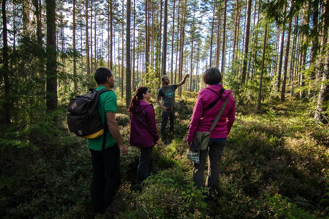 Wolves, Moose & Beavers in the forests of Central Sweden - The Wolf Night Requires Patience and Silence
