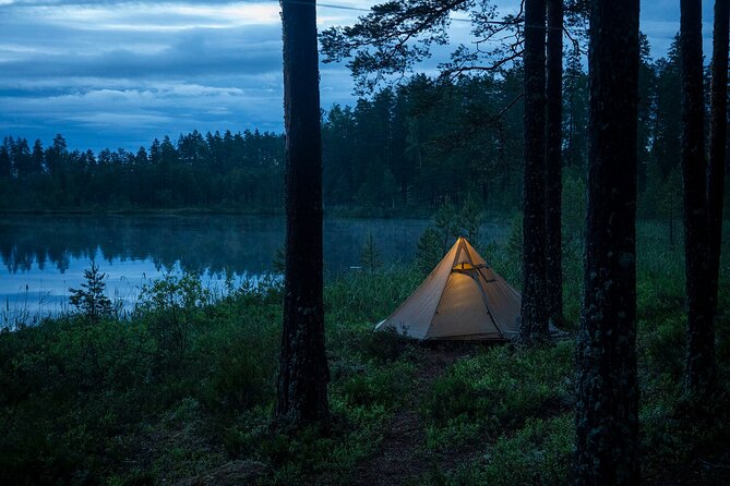 Wolves, Moose & Beavers in the forests of Central Sweden - Food, Lodging, and the Value of the Package