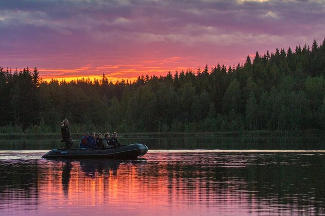 Wolves, Moose & Beavers in the forests of Central Sweden - Arrival Details You Should Not Miss